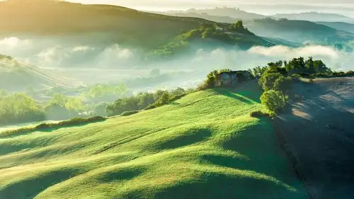 绿色林中草地,高清图片,电脑桌面-壁纸族