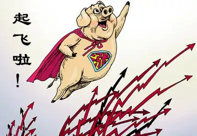 又涨了1毛多猪价起飞还能多久