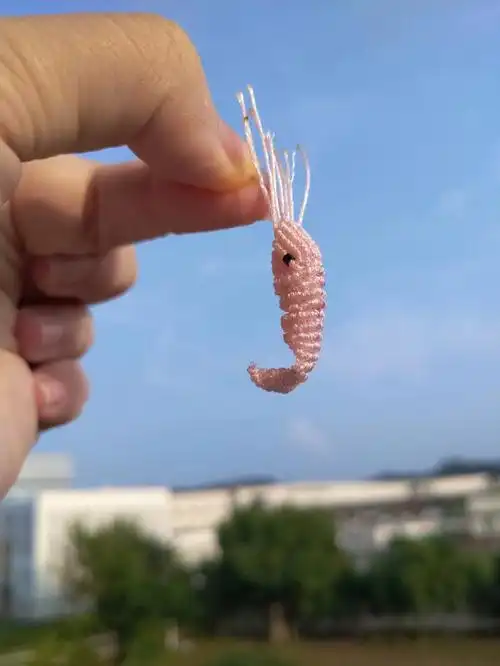 小虾虾#手工编织