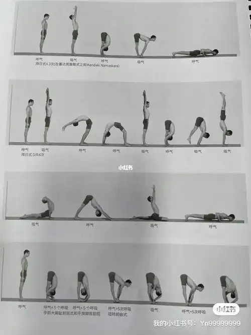 串联流瑜伽序列