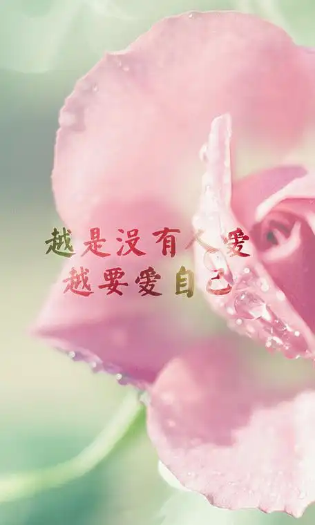 美图手机最新款2019,最新款的美图 - 新款发布 - 九块九手游导航