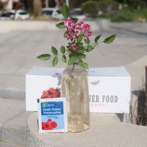 【鲜花保鲜剂】花色艳丽,叶片翠绿,水质清澈,花束保鲜,延长花期
