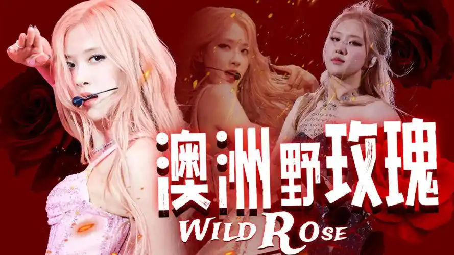 【朴彩英丨科切拉】啊啊!澳洲玫瑰再次在科切拉绽放