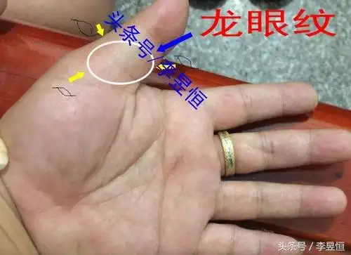 女性手相中大拇指有2个符号相夫教子钱财无忧