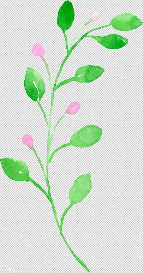 花朵装饰png (68)免抠素材下载(图片id:1336148)_-装饰元素-免抠素材