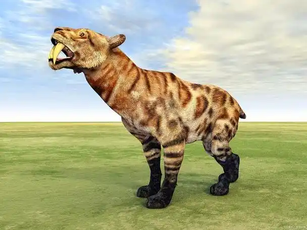 剑齿虎可不是单一的物种,它们是大家族