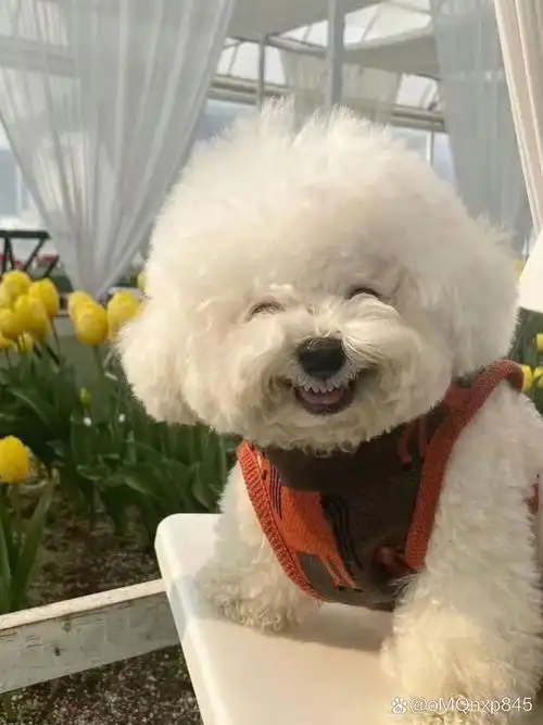 看这小熊得瑟的样子,呵呵,我也是你的宝贝.