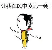 让我在风中凌乱一会!_动图_装逼_屎表情