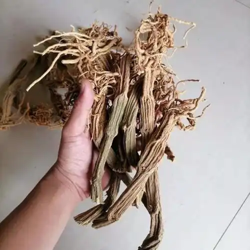 中药材苦瓜根整根新鲜干货根苦瓜藤根整棵500g苦瓜根