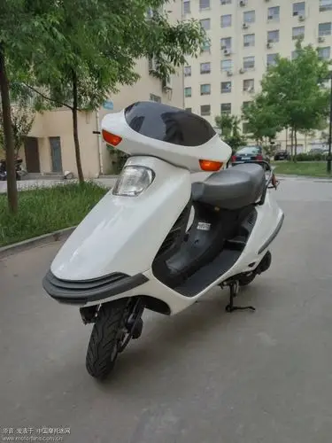 翻新本田大白鲨 - 维修改装 - 摩托车论坛 - 中国摩托迷网 将摩旅进行