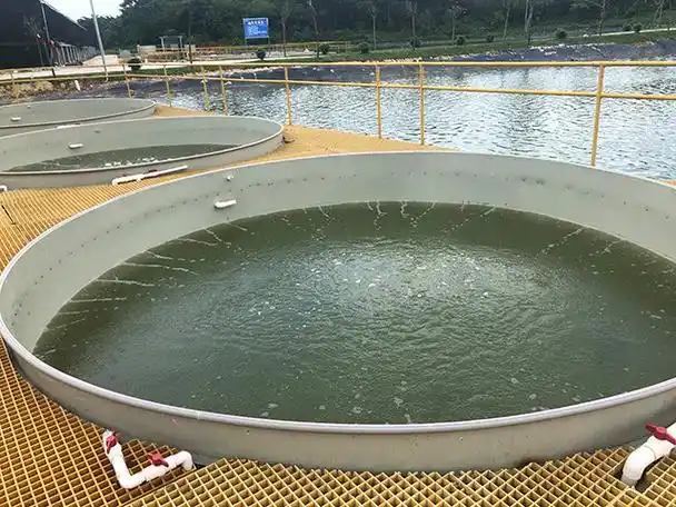 一亩鱼塘养鱼成本是多少|鱼塘|水产养殖|四大家鱼|淡水鱼|池塘