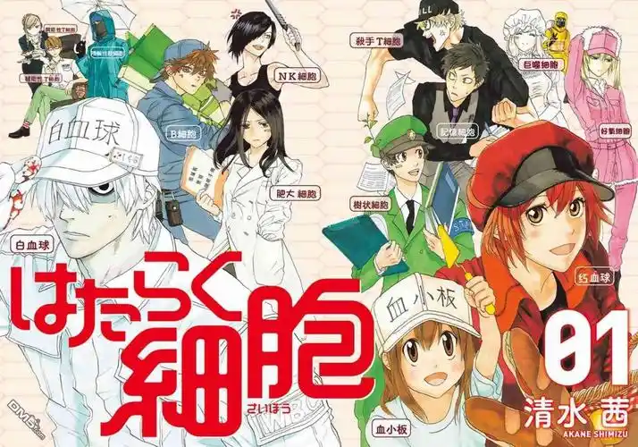 《工作细胞》观后感