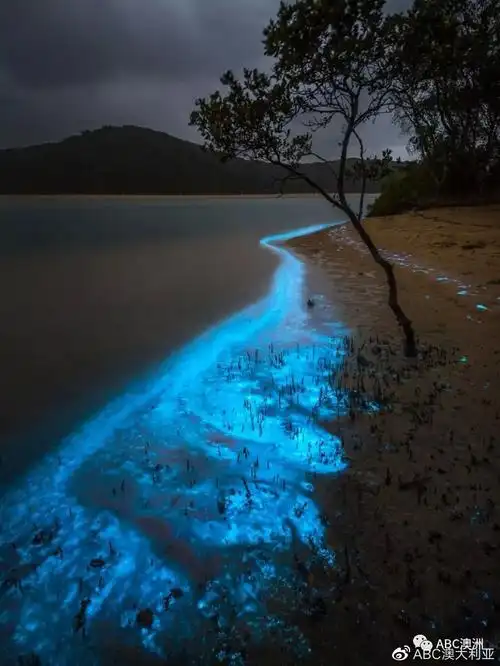 去旅行就能帮到山火受灾社区几个澳洲山火烧过却依旧美如画的地方