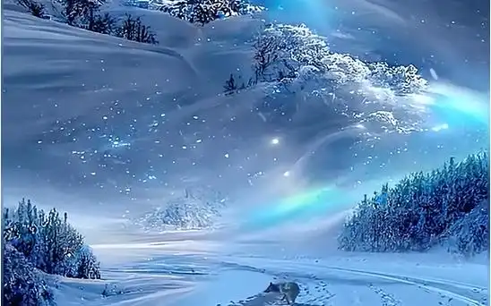 冬日仙境!梦幻雪景