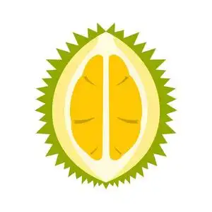 斯里兰卡美食榴莲图标,平面样式照片