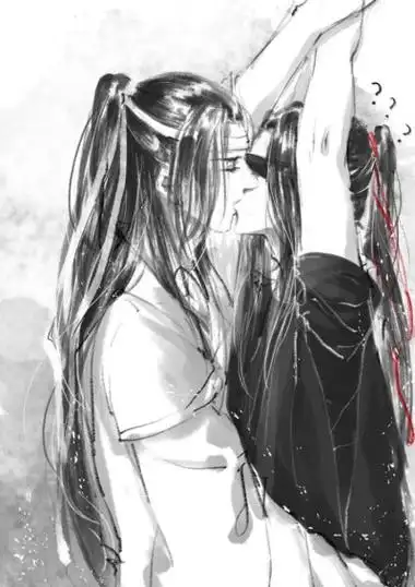 魔道祖师 蓝忘机&魏无羡 忘羡一曲远 曲终人不散 天天就是天天