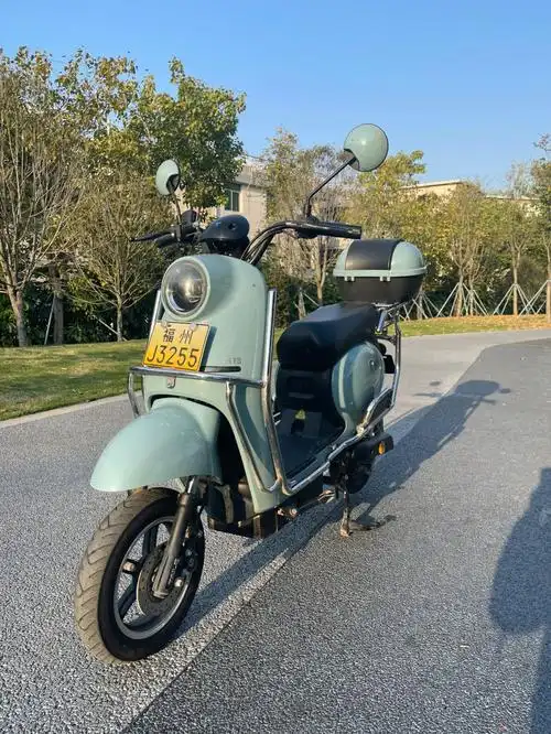 台铃小小龟电动车