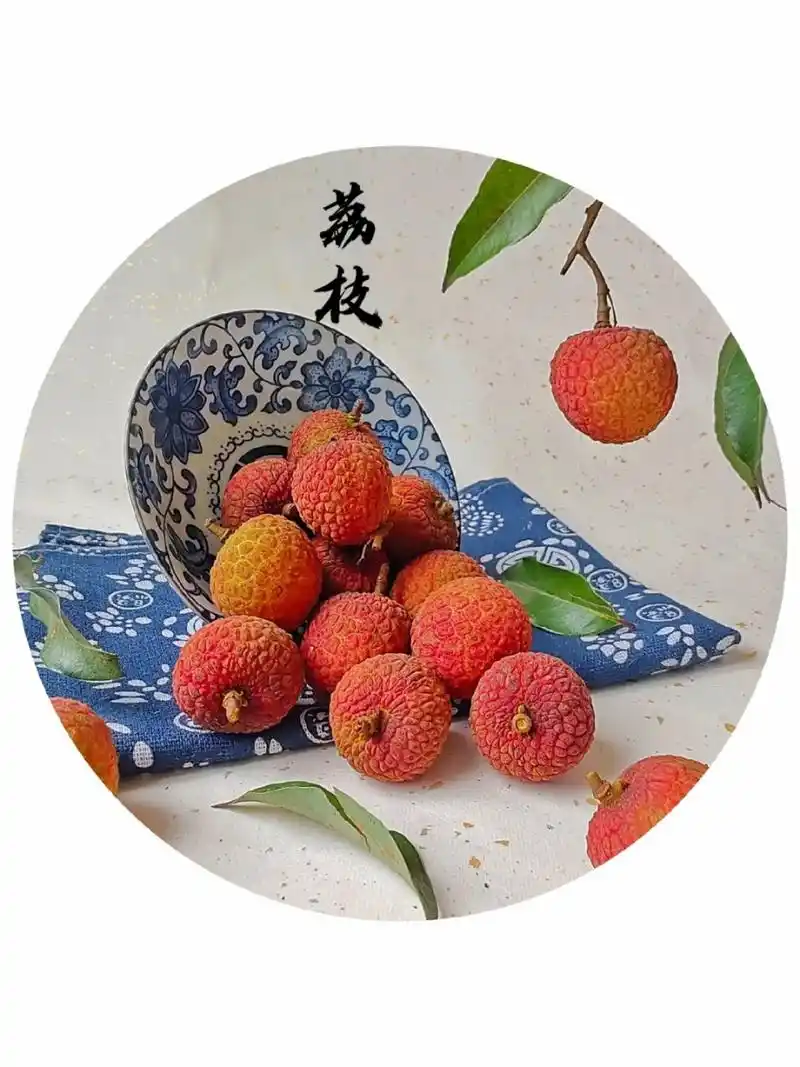 绘画素材1000更 《国画风荔枝》  这里有几款精美的国画风格荔枝插画