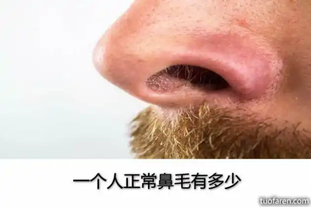 一个人正常鼻毛有多少