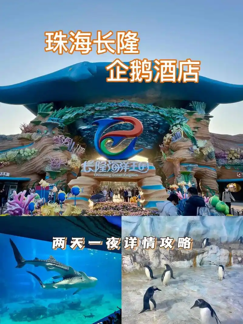 珠海长隆企鹅酒店93企鹅酒店是距离珠 - 抖音