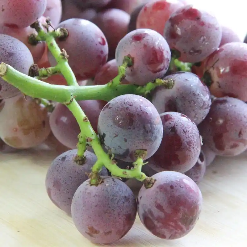 你近期会发生的好事是在9月份,你会很开心,你想要