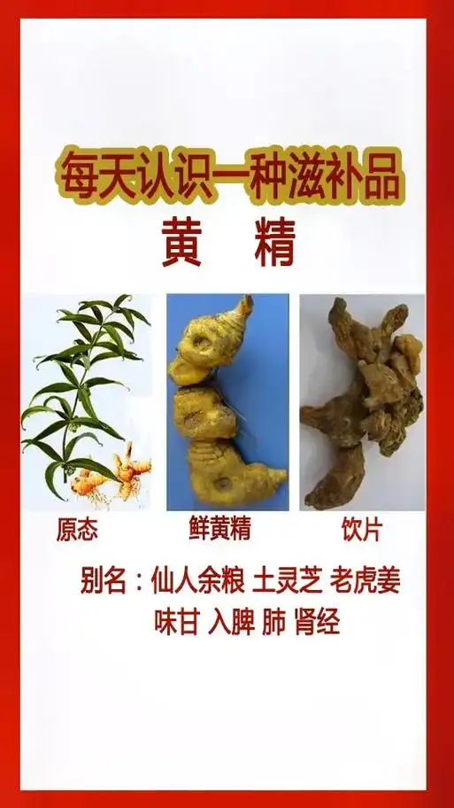 热点小助手 每天认识一种滋补品!黄精的功效与作用,黄精怎么 - 兑音