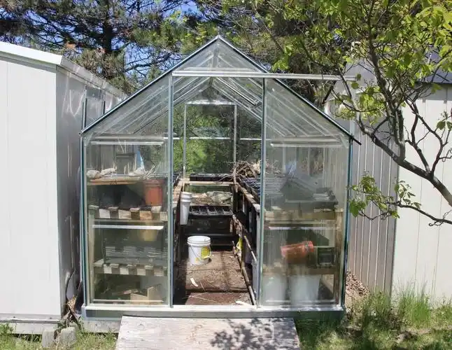 在院子露台diy一个温室四季都可以种热带花