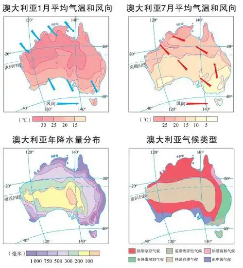 新西兰如何把中国的猕猴桃改造成贵10倍的奇异果附大洋洲知识概况