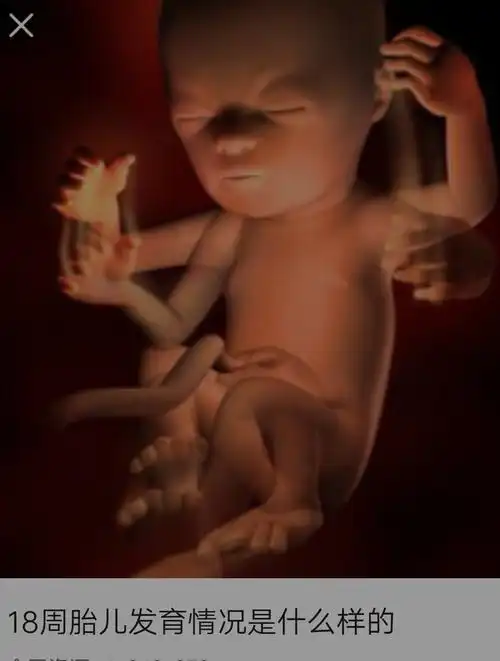 18周零3天,既然没有胎动,你到底是男孩女孩这么懒_妈妈网孕育社区