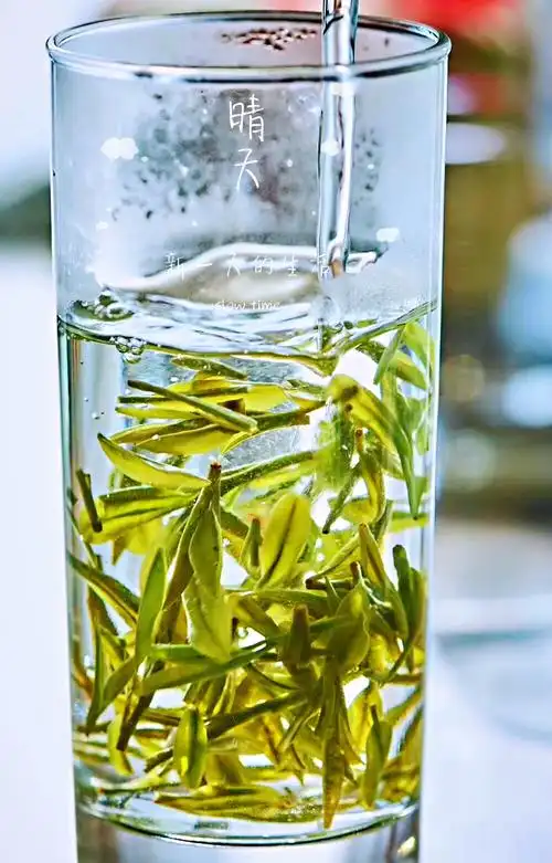 为什么有的绿茶泡出来的茶汤会浑浊?好品质绿茶的汤色是怎样的? - 简