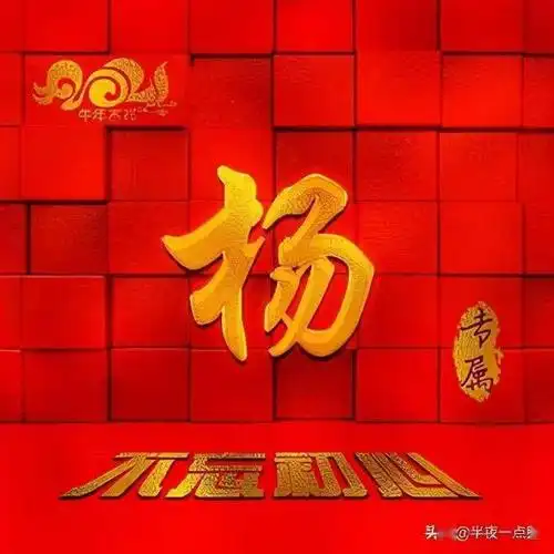 每日一姓百家姓姓氏头像之杨