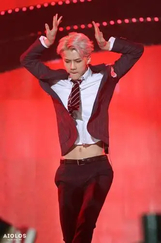 求exo12个成员高清露腰图,急用!