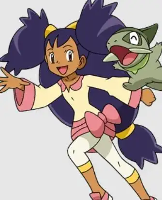 宠物小精灵宝可梦系列人物大全