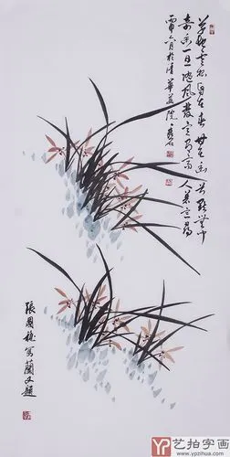 【已售】清华美院张国稳四尺竖幅写意兰草图