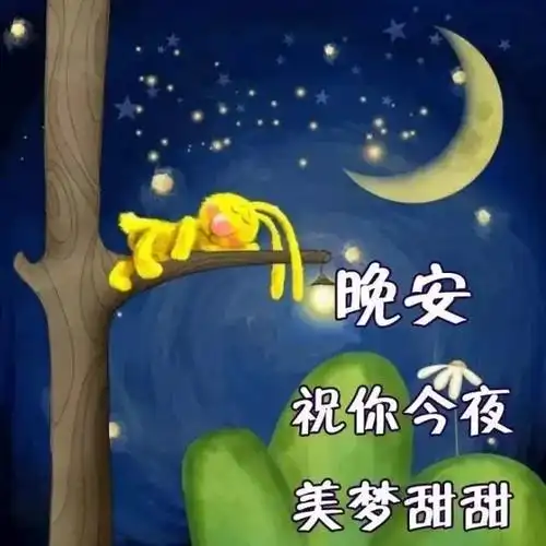 晚安表情包可爱好梦