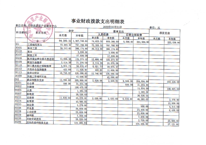 10月支出明细表