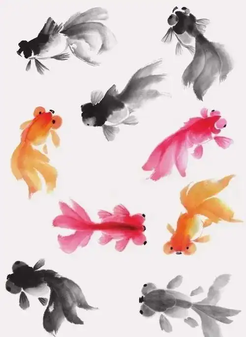 国画|神仙|金鱼|写意_网易订阅