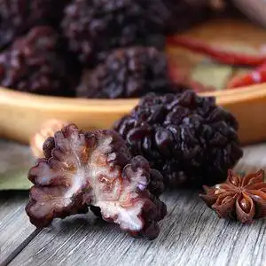 不开花的核桃菌玛卡菌100g包邮酒店专用食用菌食材炒菜涮锅褒汤煎