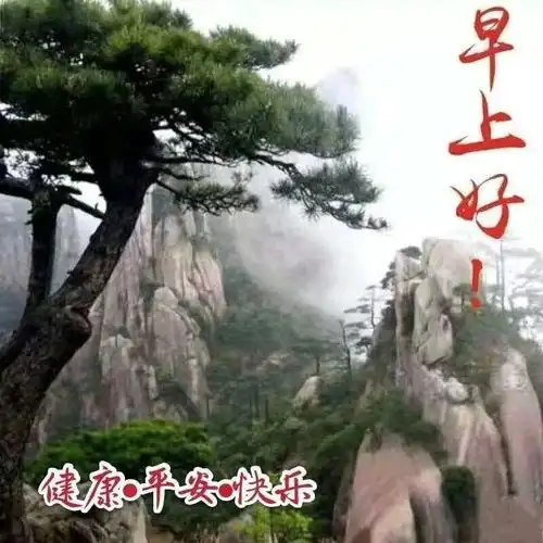 早上好表情图(4)