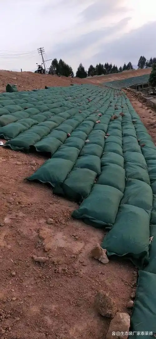 想了解更多精彩内容,快来关注生态袋厂家泰莱德