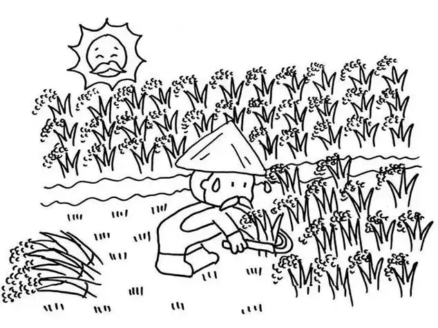 秋季丰收简笔画收割稻子烈日下收割农民伯伯收割麦子的简笔画图片秋收