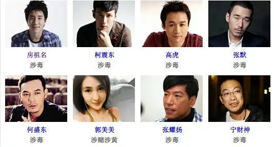 47岁歌手毛宁吸毒被抓 明星为何总吸毒?(组图)