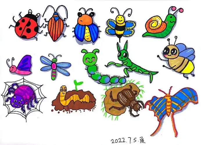 昆虫儿童简笔画