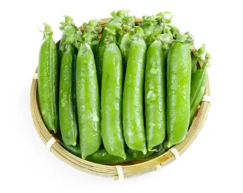 篮子里的新鲜豌豆 豌豆角