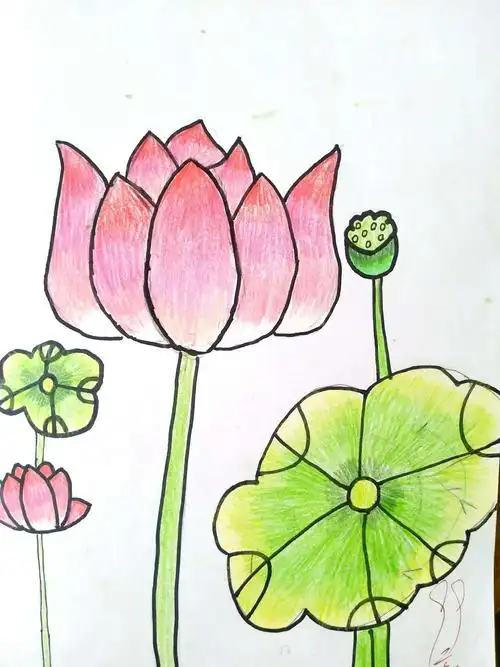 18-19下学期冯井中小五年级优秀绘画作品集