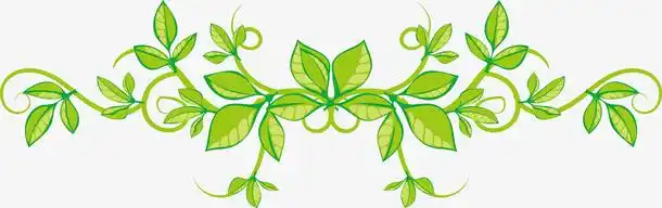 关键词 : 横向常春藤,藤蔓,植物藤蔓,横向,卡通风格,矢量