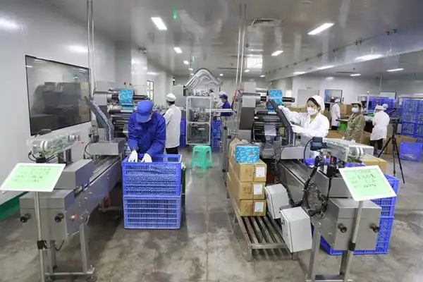 1月5日,益佰制药车间工人们正在工作中.张钰佳摄