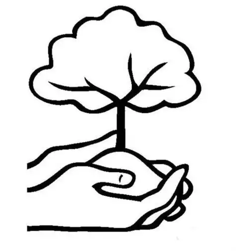 小树苗从小到大简笔画