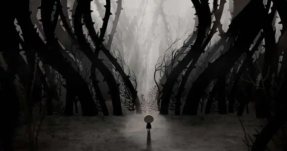 被遗忘的孩子蓝光高清版下载psychonautstheforgottenchildrenbirdboy