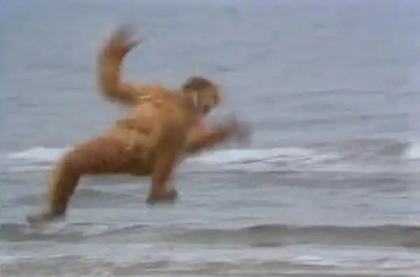 没有人再像86版西游记那样拍孙悟空了